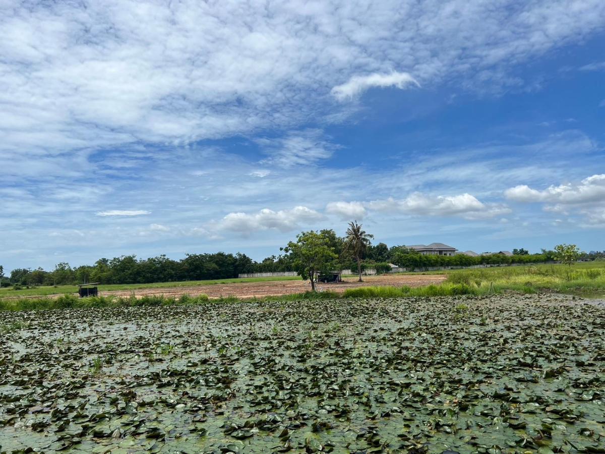 On Green Resort Ban Huai Sua Zewnętrze zdjęcie