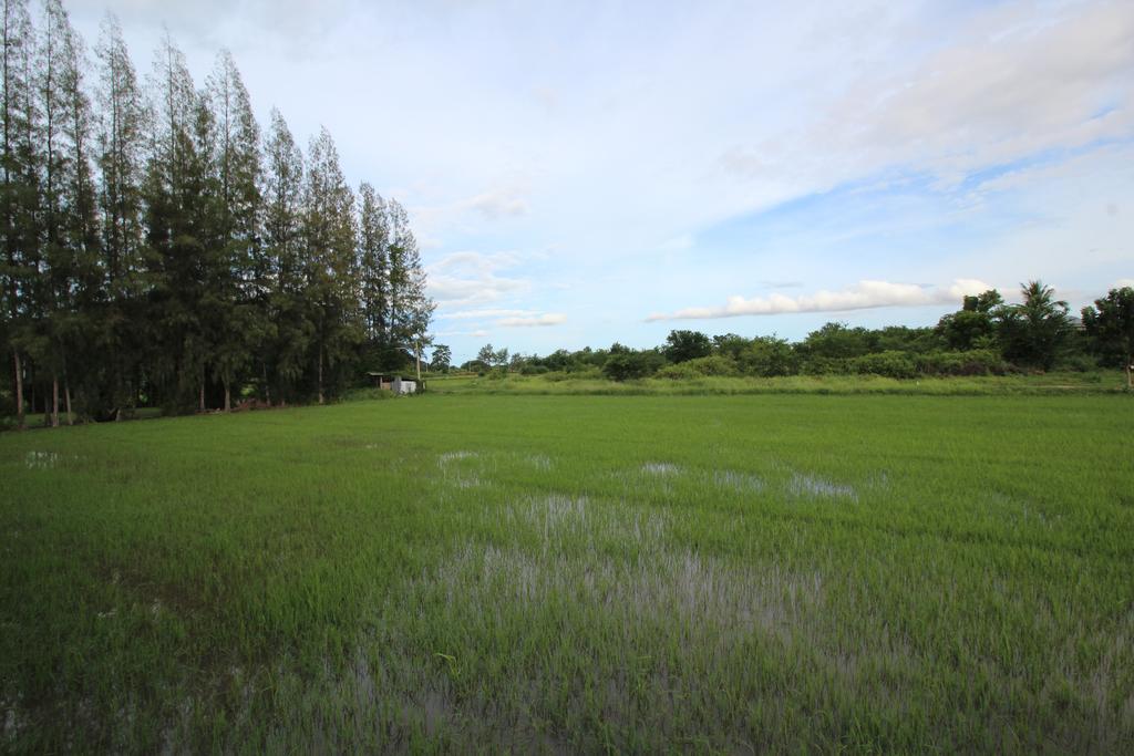 On Green Resort Ban Huai Sua Zewnętrze zdjęcie
