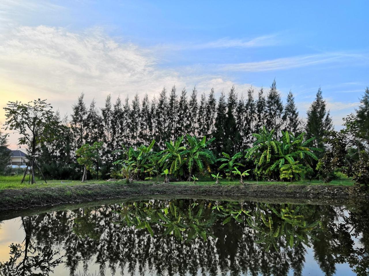 On Green Resort Ban Huai Sua Zewnętrze zdjęcie